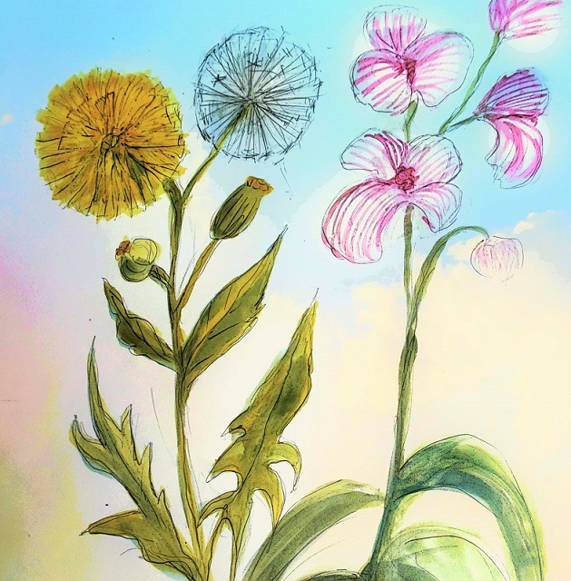 Dandelion & Orchid image