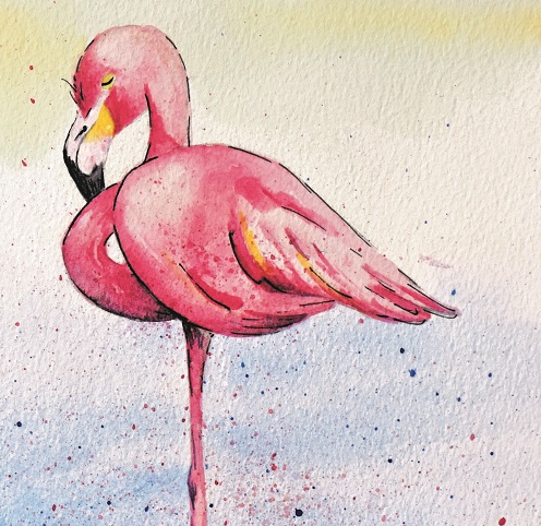 Flamingo image